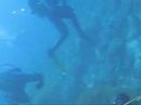 Maldives Diving Trip