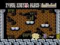 this is a video of 100 nes bosses which were killed by me and my bro without taking any damage,enjoy.
