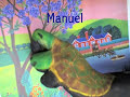 Manuelita la tortuga - Maria Elena Walsh Manuelita la tortuga - Maria Elena Walsh