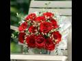 happy birthday 7bibi