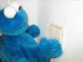 coockiemonster life