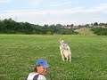 FALKO a jeho nov� kamar�dka
