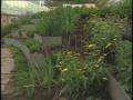 Toronto Botanical Garden