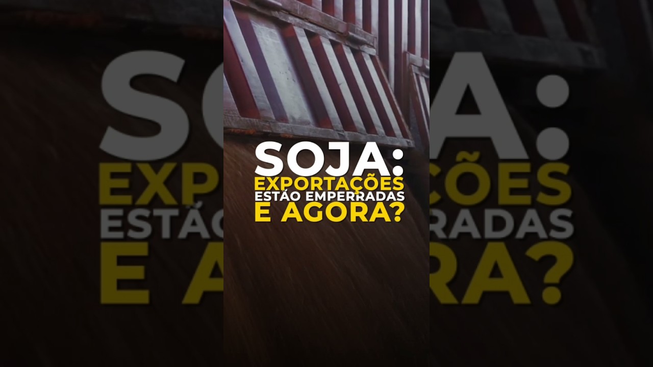SOJA: EXPORTAÇÕES ESTÃO EMPERRADAS. E AGORA?