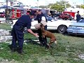Anne Arundel County Police K-9 Bitework Demonstration