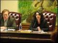 City Council 17 Apr 07