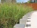 ASLA 2007 General Design Award Winners