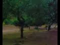 cadute-paperissima.html