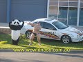 Muscle Man and Panda