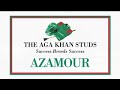 azamour - thoroughbredinternet.tv