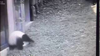 Smithsonian National Zoo