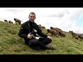 BalazsBuzas_geladas_Simien_NP_20081012a.MP4