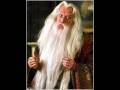 The first real Dumbledore Tribute
