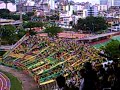 Vamos Vamos Auriverde Vamo a Ganar.