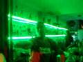 basico discoteca