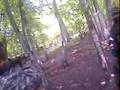 videos de TEAM ARMADILLO ( lasham June 8,08 )