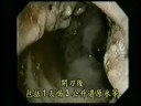 Enagic-Dr. Hiromi Shinya Part 2