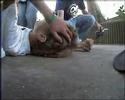 randy nakicen bails 360flip