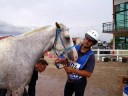 90 Km Saint Galmier