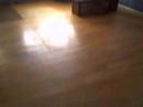 8848 Oakview, Plymouth MI Forelcosure