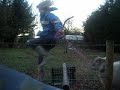 SHeepy Showjumping
