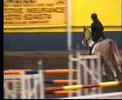 danielle smith competing on pinky,to jump double clear in the winter a&b