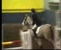 danielle smith competing on pinky,to jump double clear in the winter a&b
