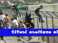 Palmese a Belvedere