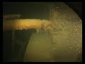Rosalie Moller Tauchen Diving Wrack Ägypten Red Sea