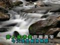 陳美齡- 陌路人(詞:我是痴情無限)