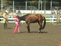 2008 DC Fair Master Showmanship