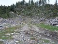 Virgil on the Humphreys Hill Track
