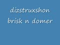 dizstruxshon 16th birthday brisk n domer track 5
