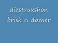 dizstruxshon 16th birthday brisk n domer track 5