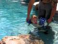 videos de The water Wings