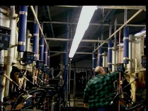 DeLaval Liners & Tubes
