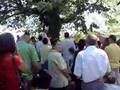 Gospojina na sokolinama 2007 1