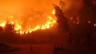 Şili'de orman yangını