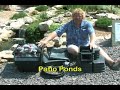 5 Types of Ponds