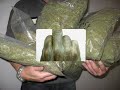 MarihuaNa MarihuaNa