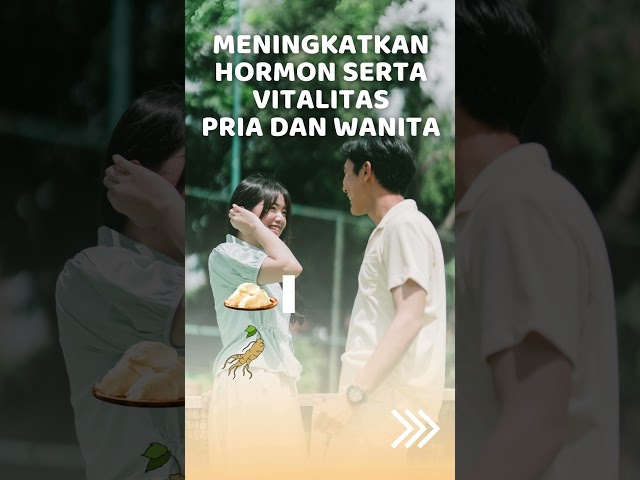 MAKIN BER ENERGI DENGAN BLESSNEST !