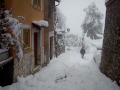 CICILIANO 5 FEBBRAIO