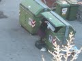 trash woman italy . barbona zozzona