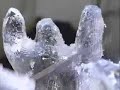 Okamoto Studio Ice Sculpture on Martha Stewart Show