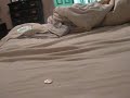 Part1:Vanishing Coin Part2: Nickel To Penny Part1:Vanishing Coin Part2: Nickel To Penny