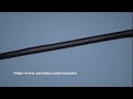UFO Flying humanoid over Tlalnepantla, Mexico City, Dec 27th 2008 Video Response