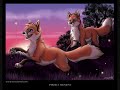 Feilds of Hope - Fox Tribute