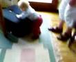My cusines kid