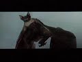 Resident Evil - The Umbrella Chronicles (Wii)