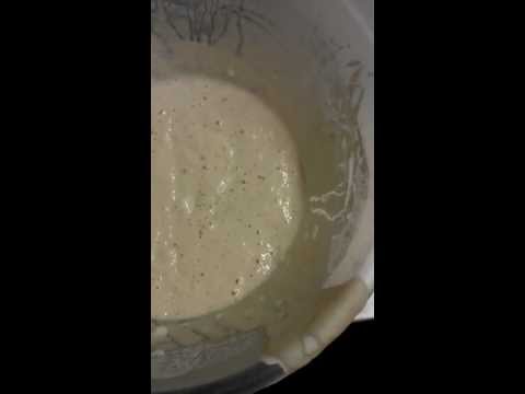 how to obtain yeast